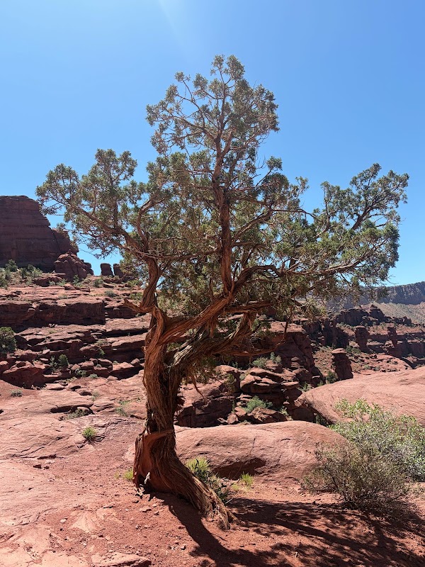 Fisher Towers 2