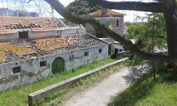 Parque da Quinta das Flores 5
