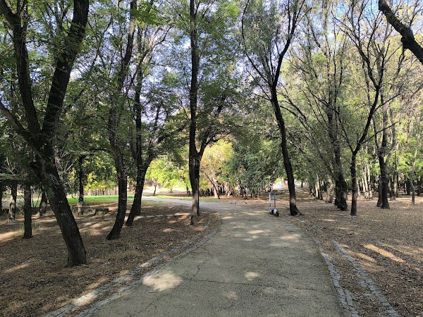 Parque da Quinta das Flores 3
