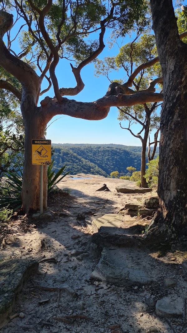 Wodi Wodi Walking Track