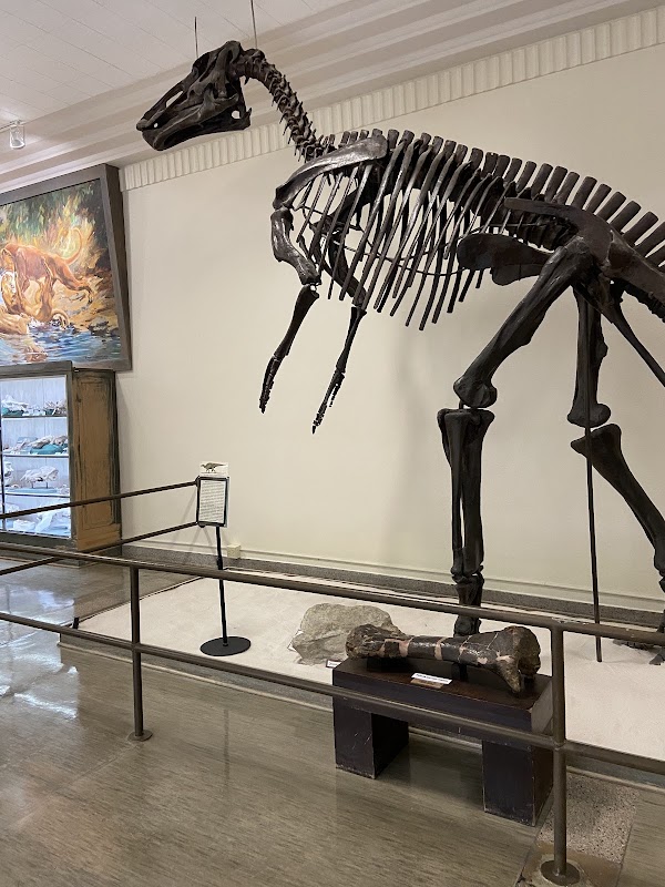 Museum of Geology 4
