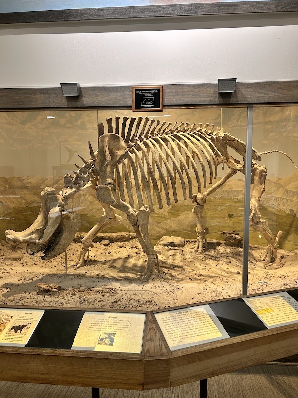 Museum of Geology 2