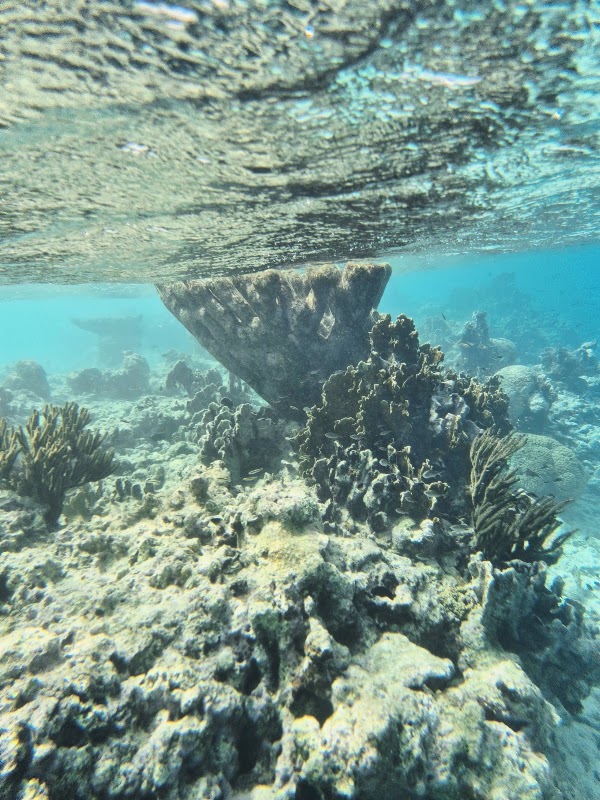 Klein Bonaire 4