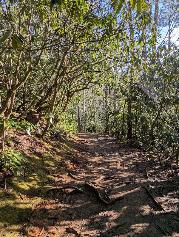 Metcalf Bottoms Trail 5