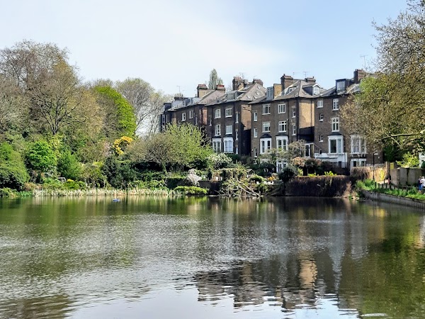 Hampstead Heath 5