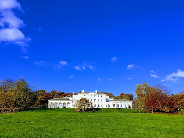 Hampstead Heath 4