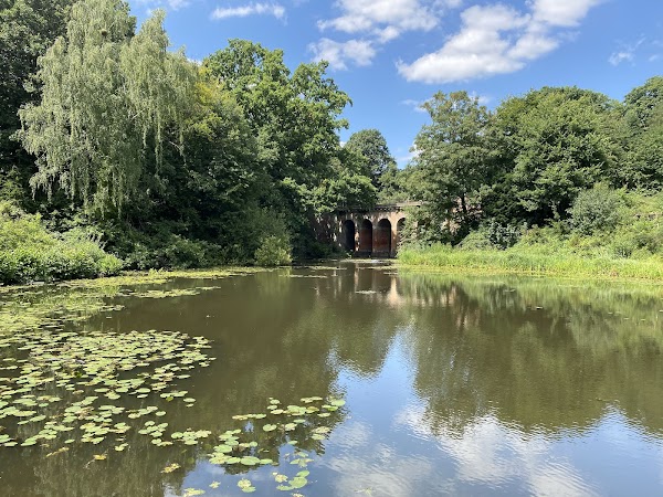 Hampstead Heath 3