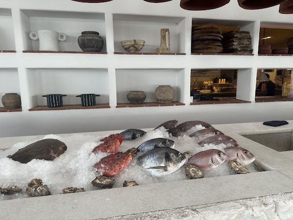 Akti Restaurant 2