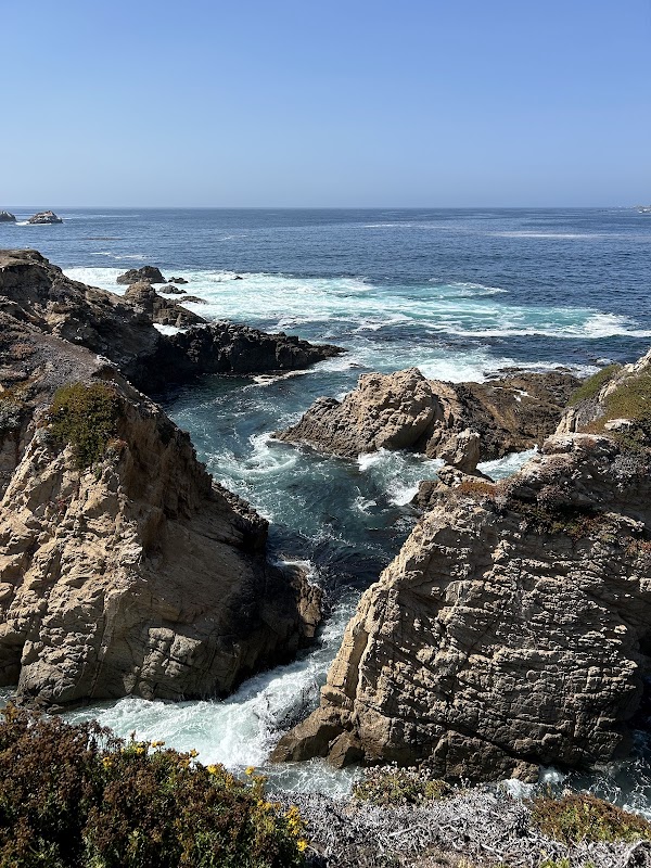 Garrapata State Park 5