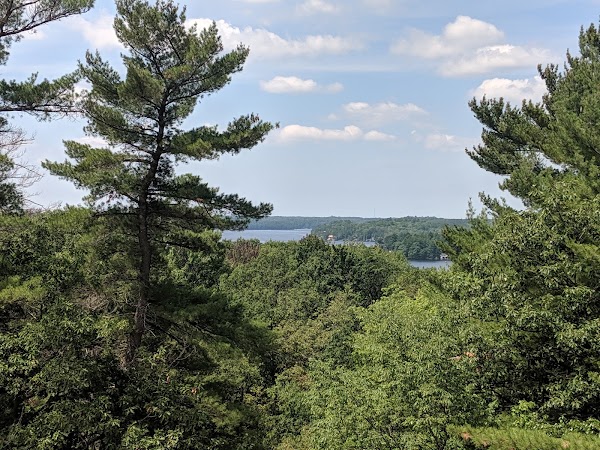 Huckleberry Rock Lookout Trail 5