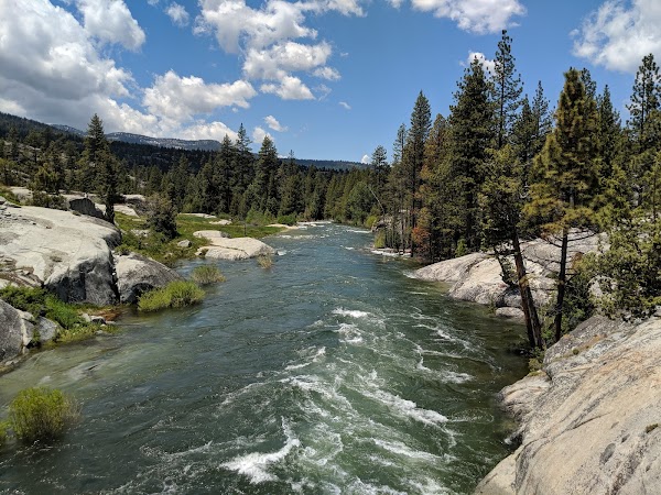 Sierra National Forest