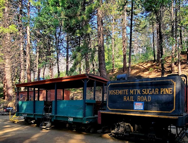 Sierra National Forest 2