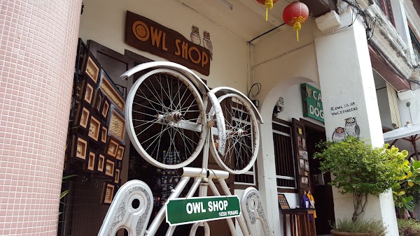 Owl Shop 1