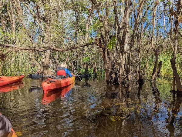 Big Cypress National Preserve 5