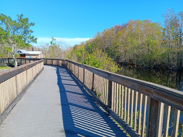 Big Cypress National Preserve 2