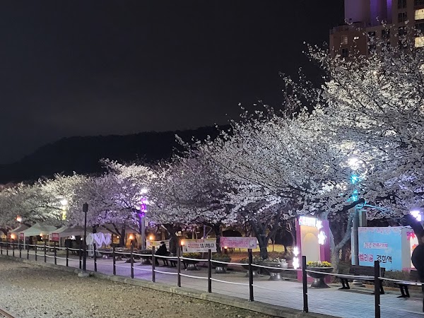 Gyeonghwayeog慶和火車站 5