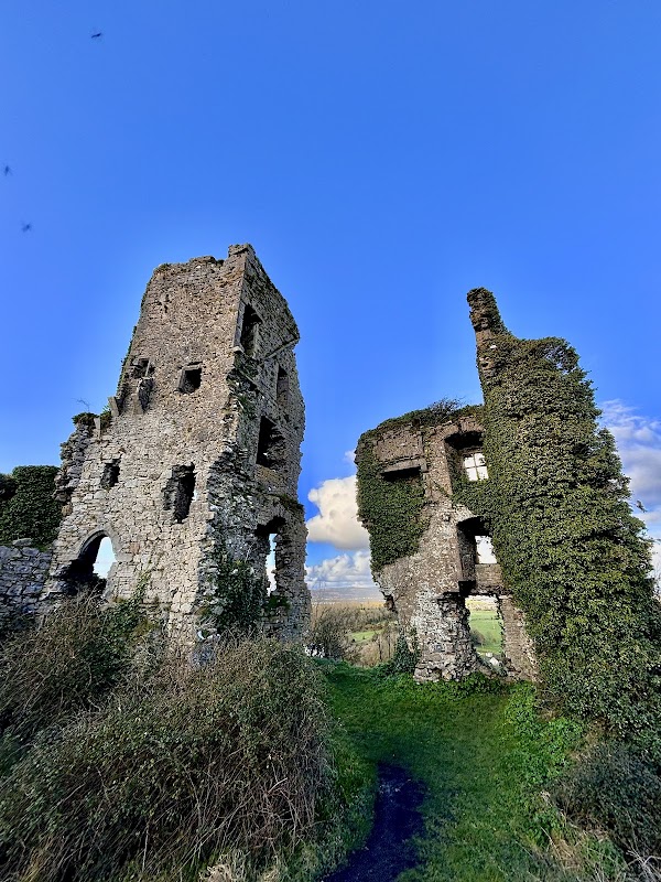 Carrigogunnell Castle