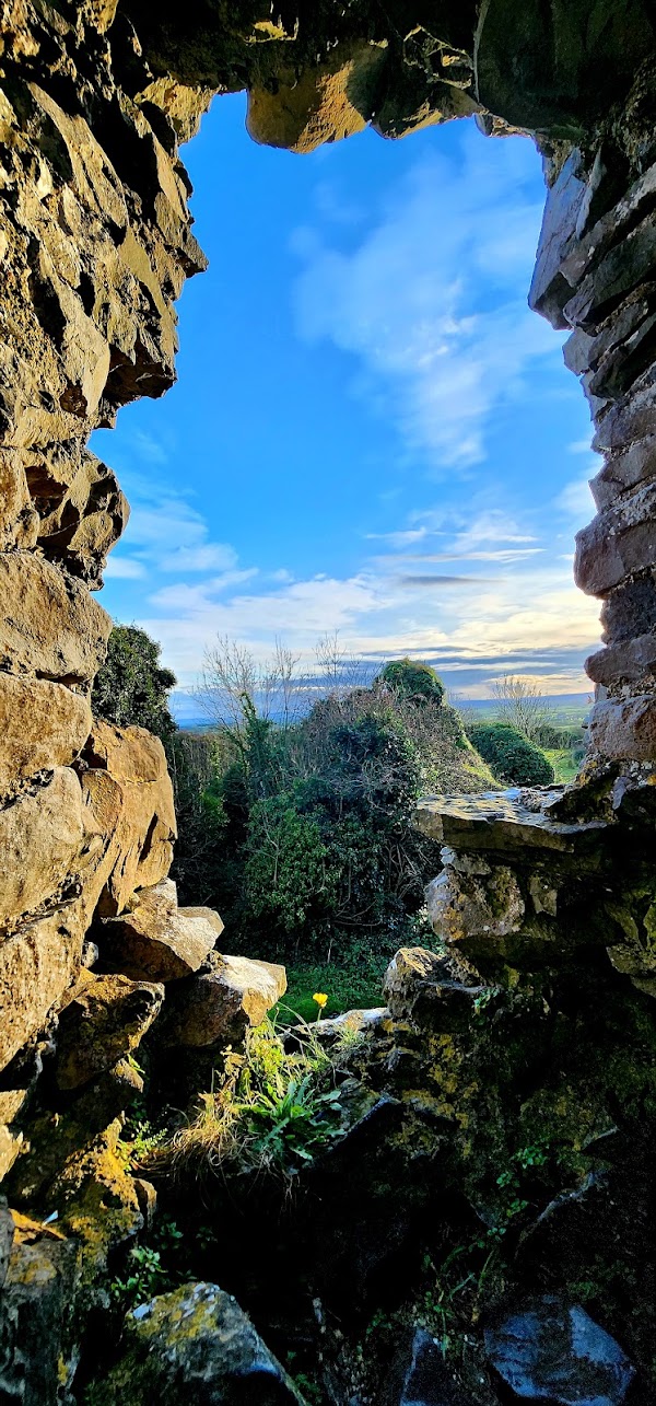 Carrigogunnell Castle 5