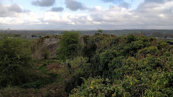 Carrigogunnell Castle 4