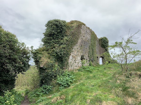 Carrigogunnell Castle 3