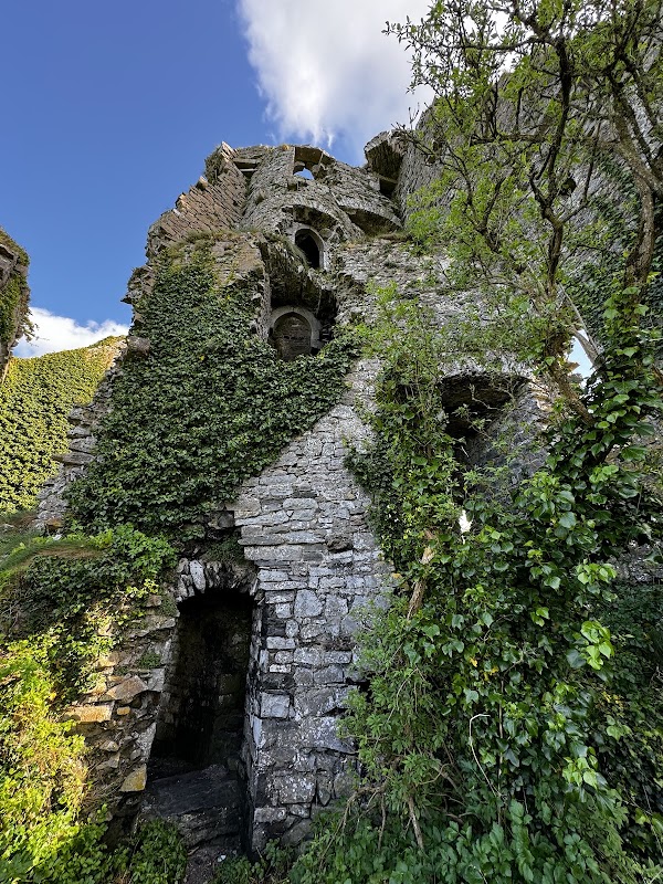Carrigogunnell Castle 2