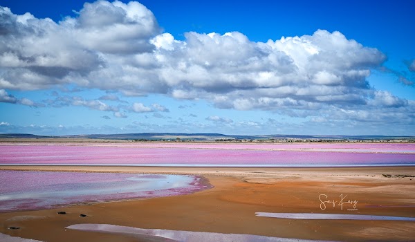 Pink lake