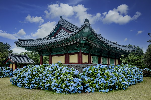 Hon-Inji 5