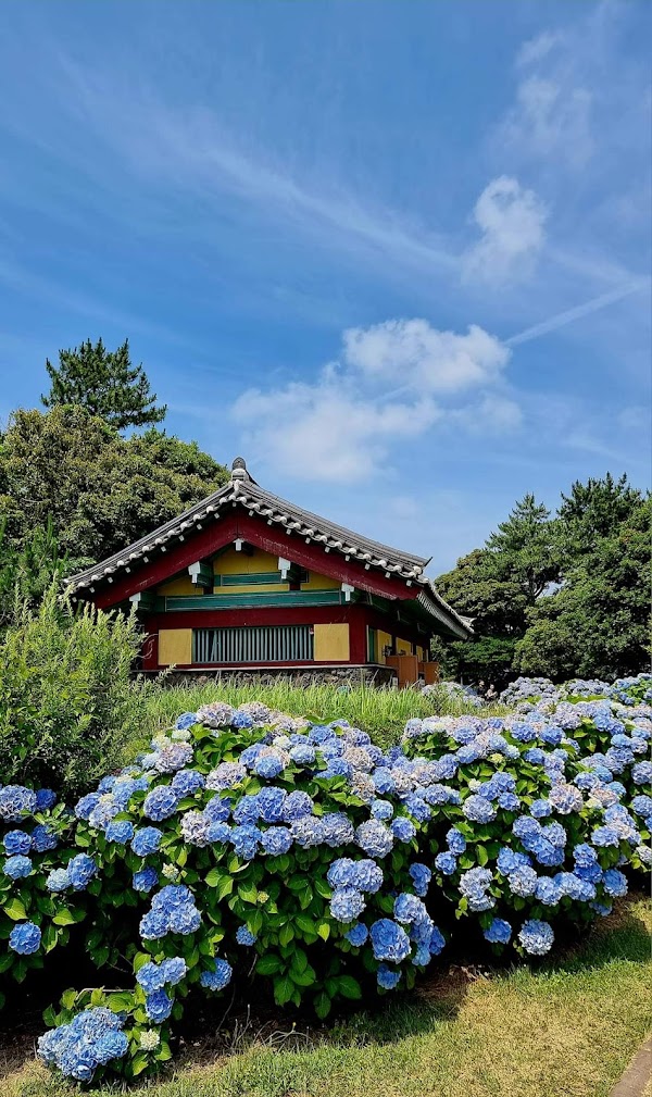 Hon-Inji 2