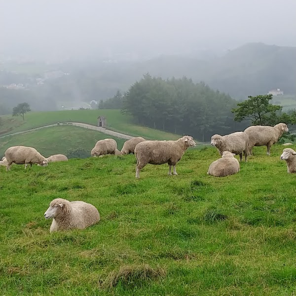 Daegwallyeong Sheep Farm 2