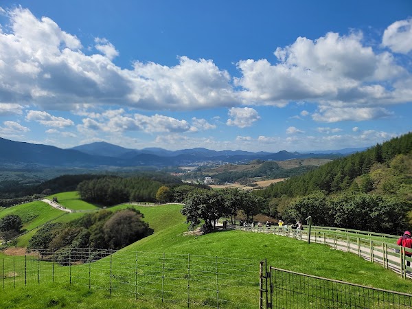 Daegwallyeong Sheep Farm 4