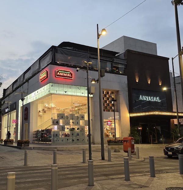 Animal Masaryk 1