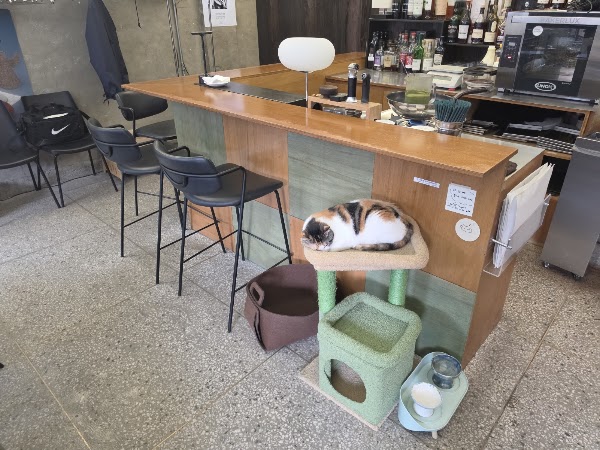 Sound Provider Cafe&Bar 3