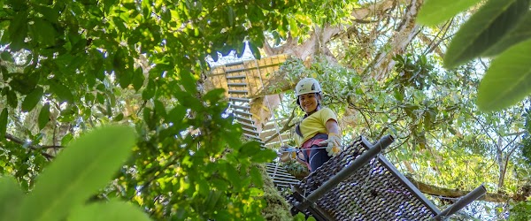 The Original Canopy Tour Monteverde