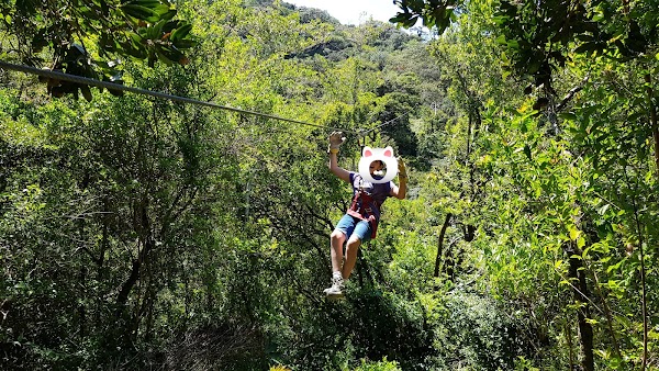 The Original Canopy Tour Monteverde 5
