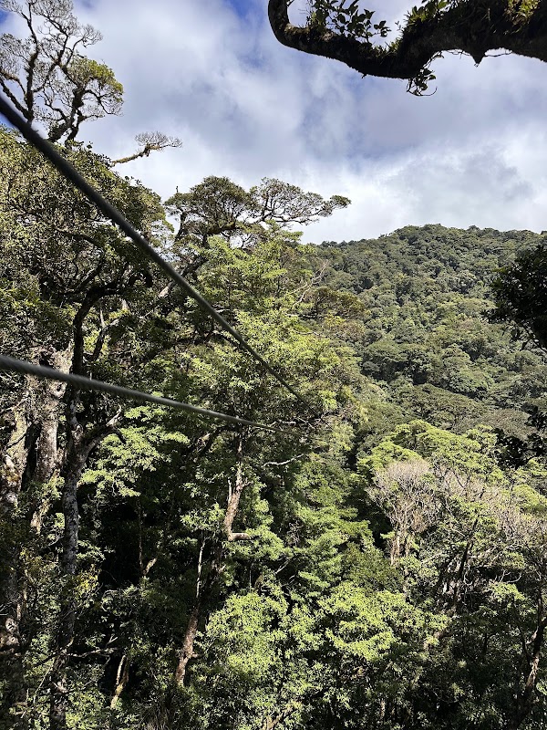 The Original Canopy Tour Monteverde 4