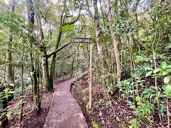 The Original Canopy Tour Monteverde 3