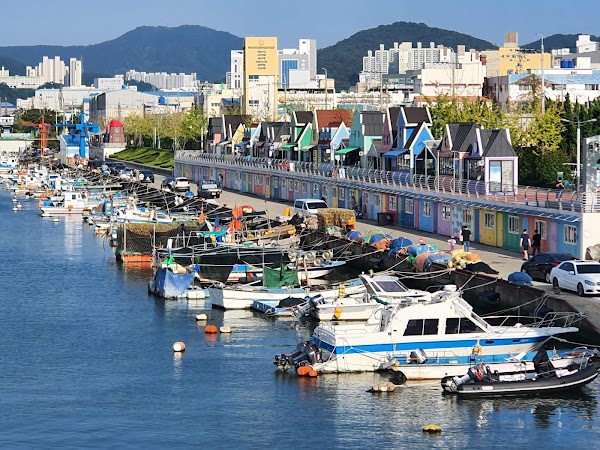Busan 7