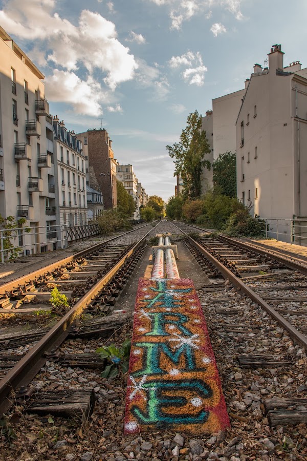 Ligne de petite ceinture de Paris 4