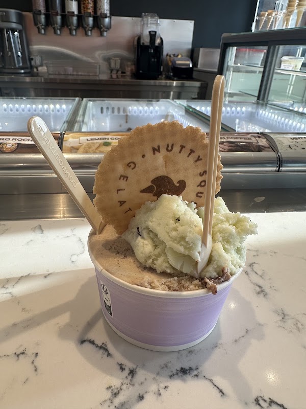 Nutty Squirrel Gelato 2
