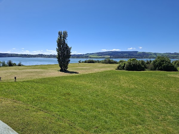 Mokoia Island 5