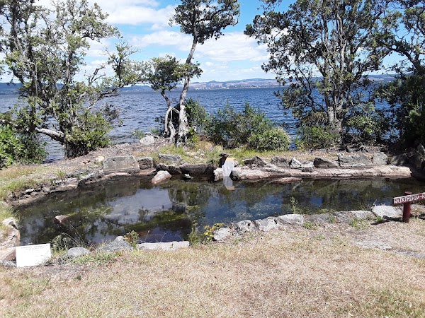 Mokoia Island 4