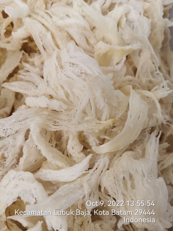 21Batamnest 燕窝工厂批发 Batam Bird Nest Wholesale Factory 2
