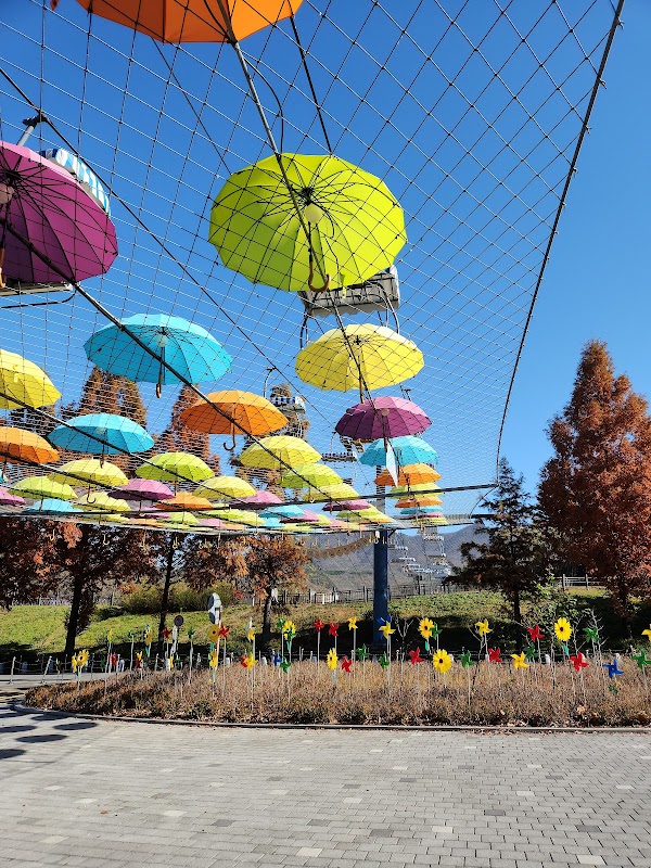 Seoul Grand Park Skylift 5