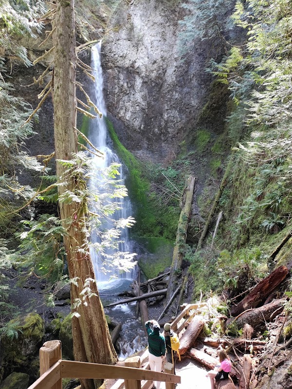 Marymere Falls Trailhead 1