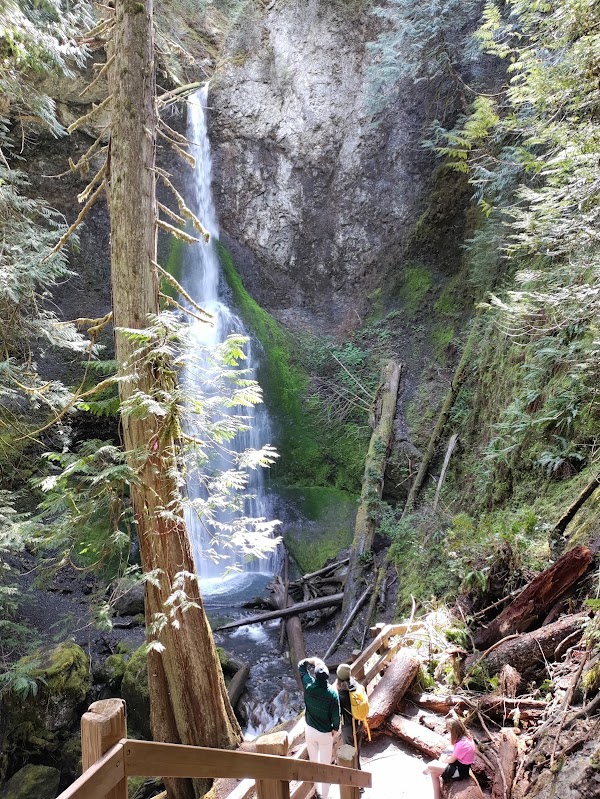 Marymere Falls Trailhead 5
