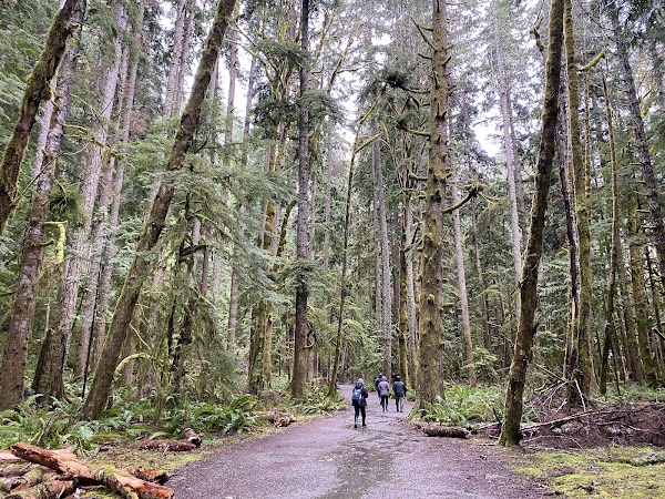 Marymere Falls Trailhead 2