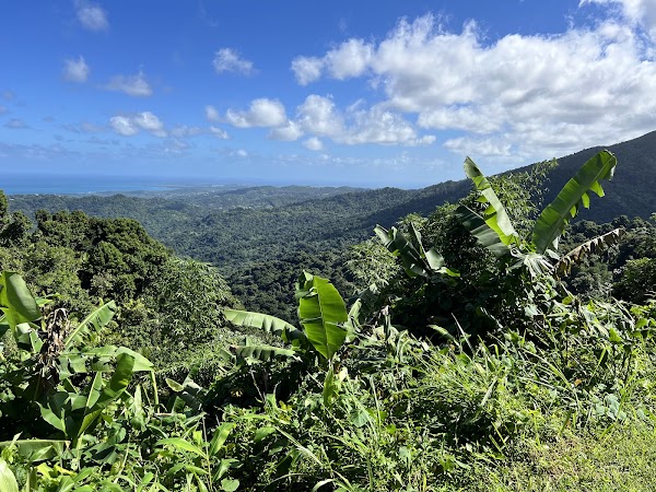 El Portal de El Yunque Rainforest Center - El Yunque National Forest