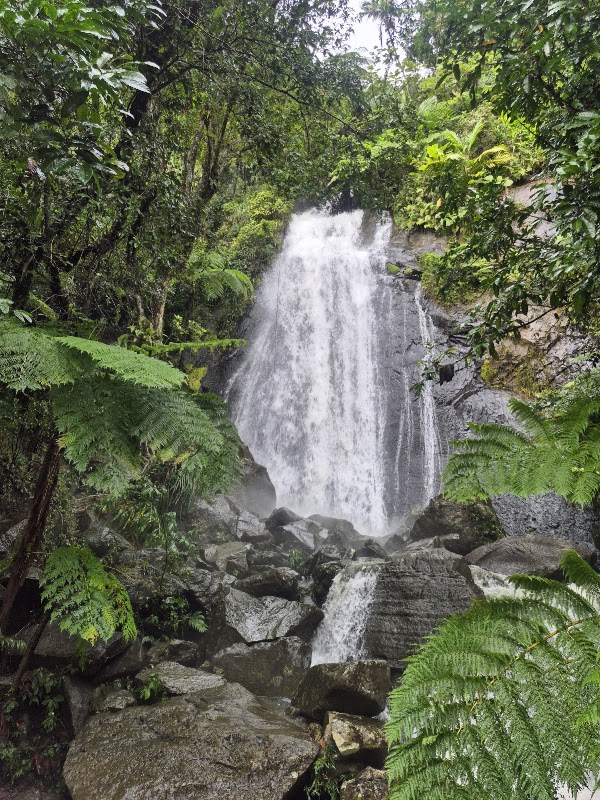 El Portal de El Yunque Rainforest Center - El Yunque National Forest 4