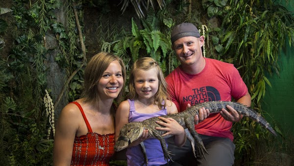 Gator Beach - The World's Greatest Alligator Park