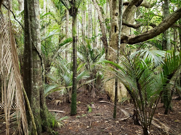 Murphys Bush Reserve